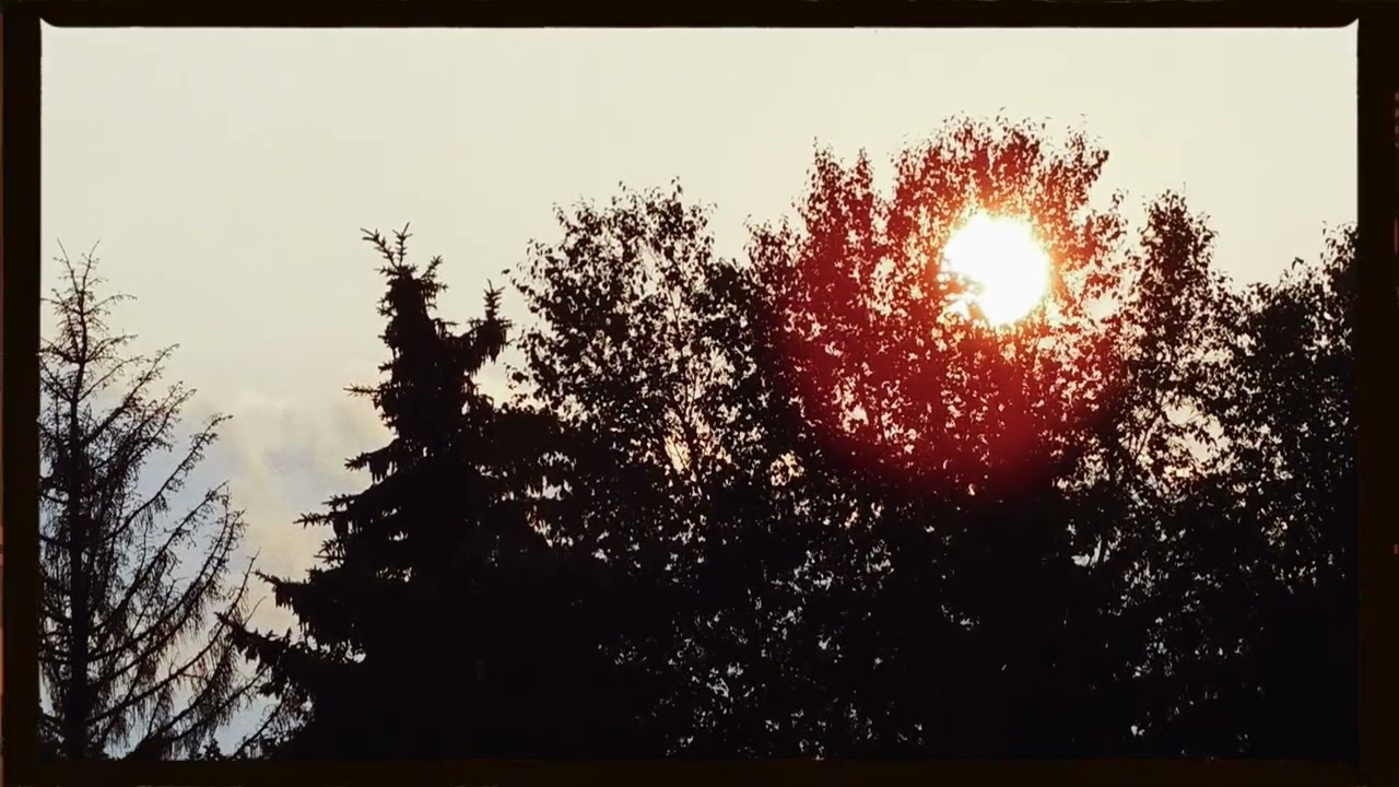 N/S/K - you're still in my memories (Official Visualizer)
