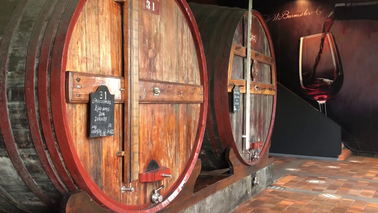 Visit of the Port wine cellar of Burmester in Porto | Caves Burmester | Porto, Portugal