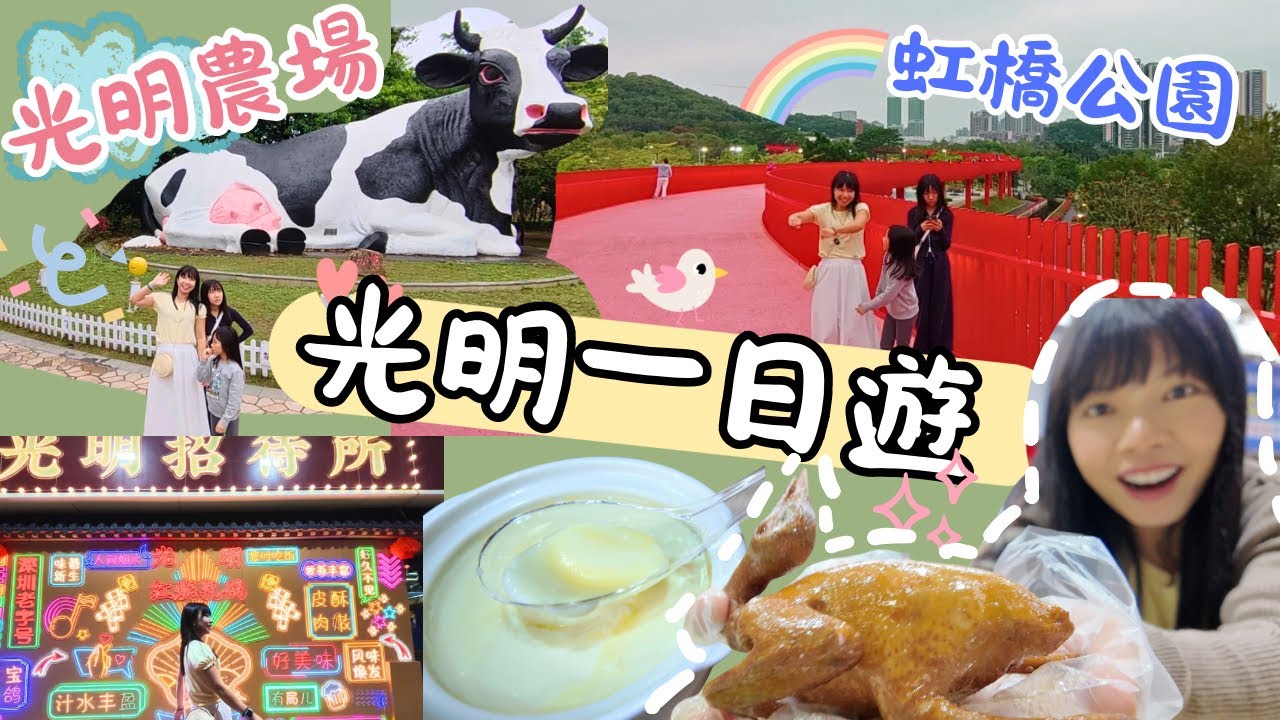 【光明一日遊】【虹橋公園】光明招待所 光明農場 光明三寶 紅絲帶 光明親子遊 深圳親子遊 光明乳鴿 光明牛奶 牛初乳 深圳美食 深圳一日遊 深圳親子遊