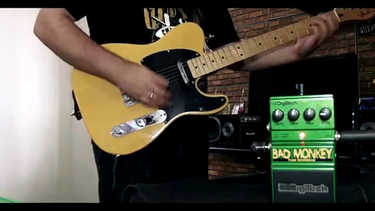 DigiTech BAD MONKEY Tube Overdrive - Júnior Ferreira
