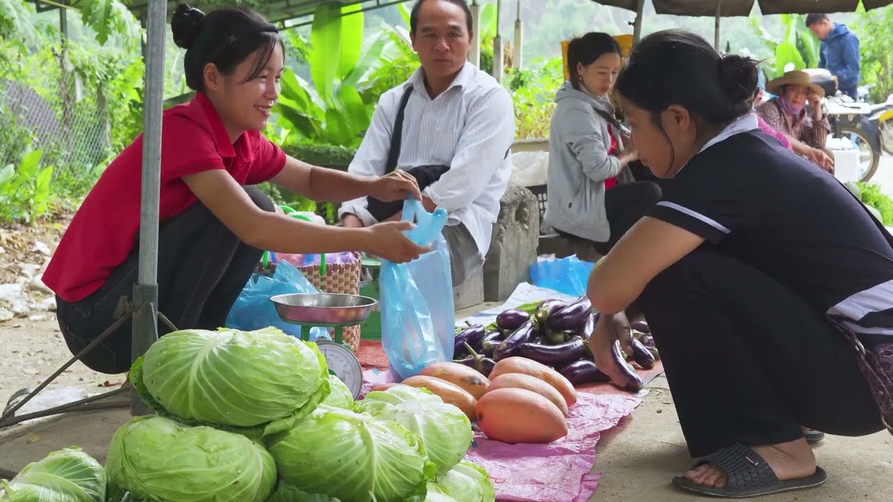 TIMELAPSE — Harvesting Many Giant Honeycomb Cassava Roots & Goes to Market Sell – Daily Rural Life