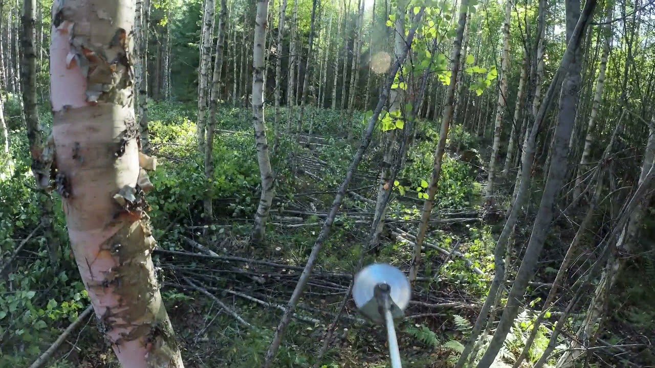 Energiapuukohteen ennakkoraivaus, Nakkila. ERITTÄIN tiheää.