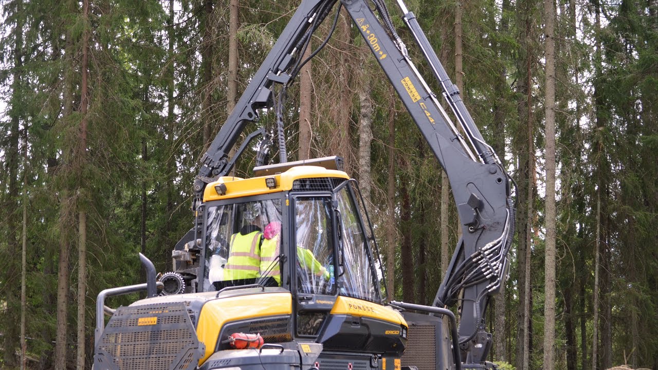 Rakkaudesta Metsään - Niina harvesterin ohjaimissa