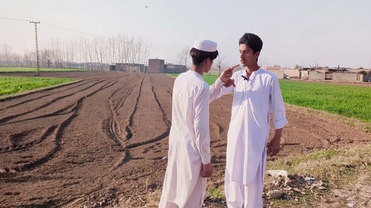 Nasware pa roja ke // Da lare haqooq // Best video by lali kalay Vines most watching