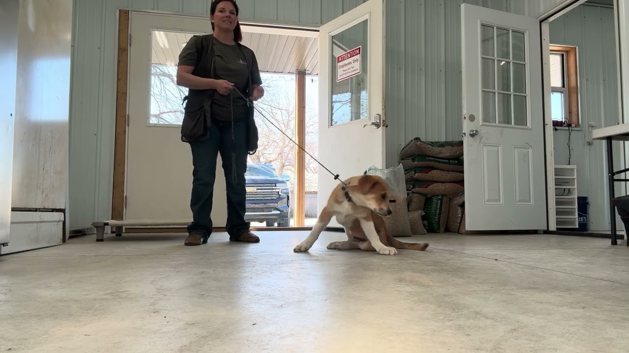 Obie 2/27
