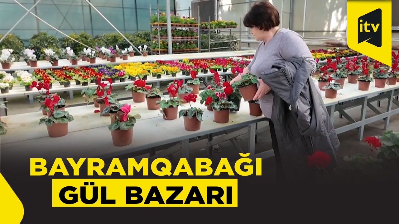 Bayram üçün ən çox seçilən güllər – QİYMƏTLƏR