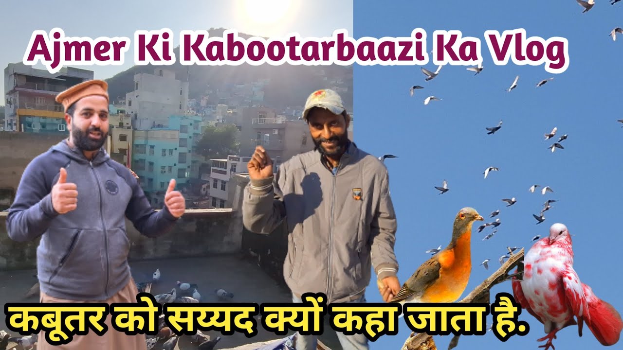 Kabootarbaazi Vlog Ajmer Sharif | Ajmer Sharif Ke Khadim Mohalle Ki Kabootar Bazi Live Jaha Gasht