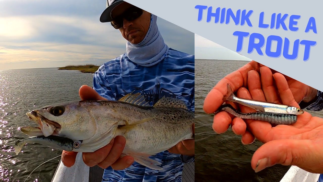 Overthink it! Speckled Trout Feeding Behavior