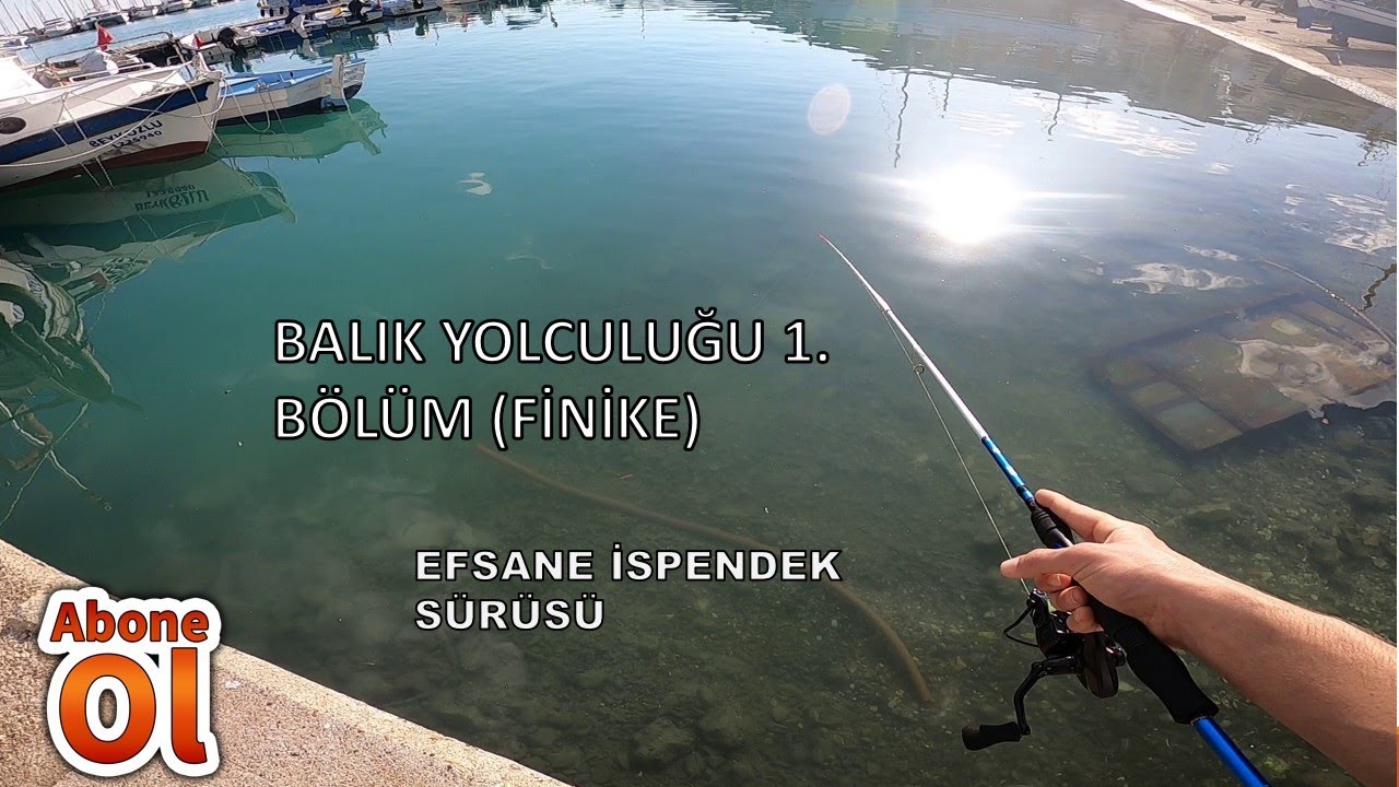 BALIK YOLCULUĞU 1. BÖLÜM (FİNİKE) ispendek sürüleri gördük