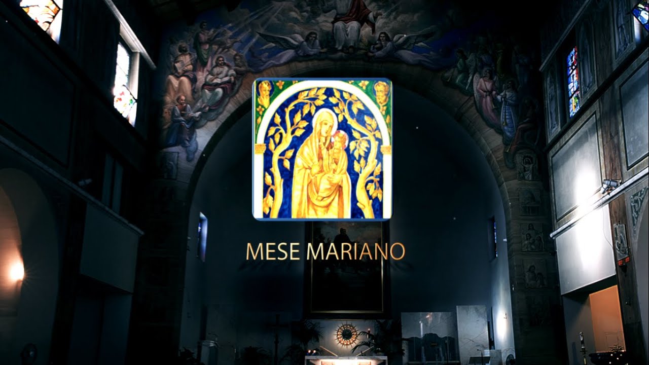 Anno Mariano OMD- 2 / 10 Maggio