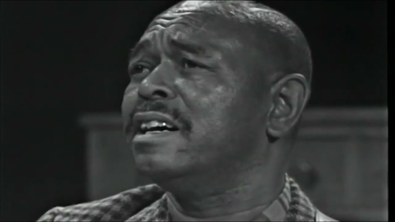 Brownie McGhee - Don't Pity Me (1966)