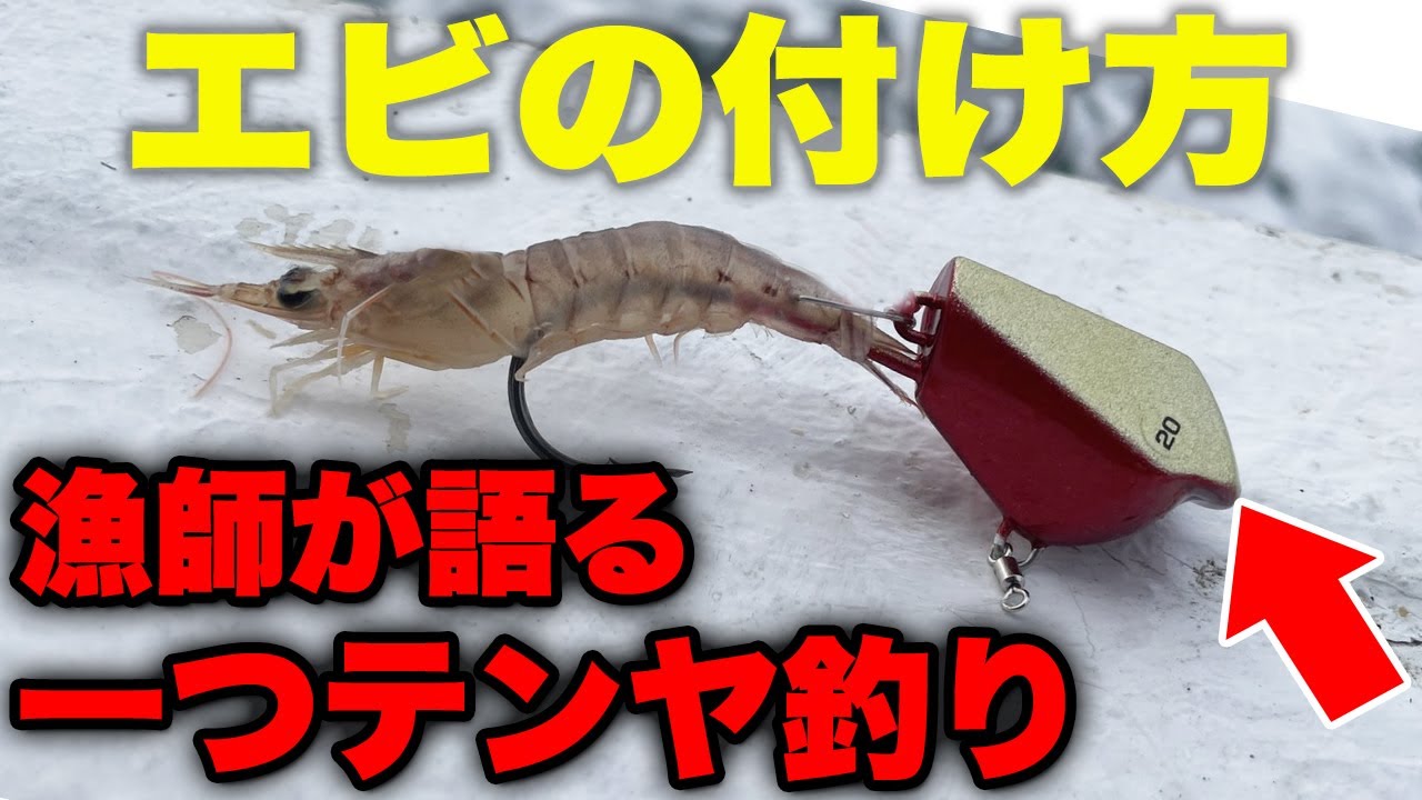 【ガチの漁師が語る】一つテンヤ釣り！釣れるエビの付け方を徹底解説します。天然の明石ブランド真鯛を釣りまくってください。