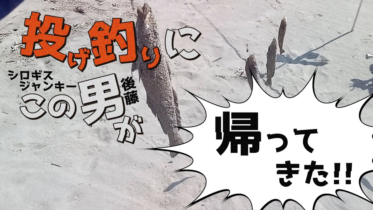 シロギスジャンキーが帰ってきた！！