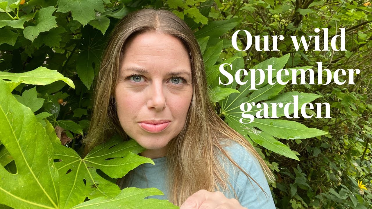 September Garden - Meet the residents. (Collaboration).