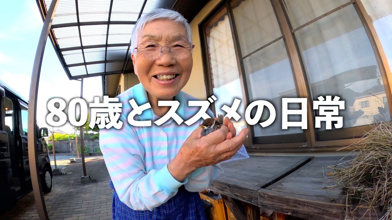 80歳おばあちゃんとスズメのふたり暮らし