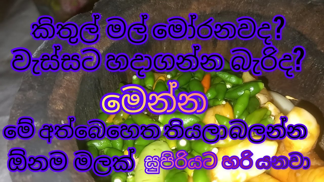 හදන්න බැහැ කියන ඕනම කිතුල් මලකට මේ අත්බෙහෙත තියන්න  වැඩේ ගොඩ👌kithul product🌴sri lanka👍👌🌴 02 අත්බෙහෙත