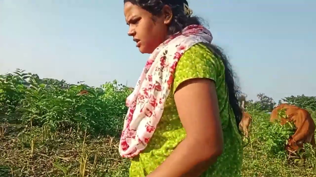 Hey guys good evening Assam goalpara 🌿🌿🌿😘 video acchi lagi to like share please karna