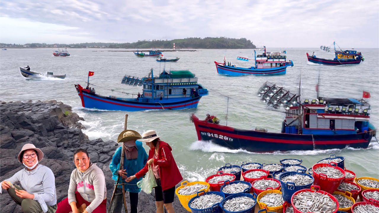 Pha Xúc Cá Cơm Trúng Lớn Đầu Năm | Chợ Tịnh Kỳ Minh Gặp Ai Cũng Vui