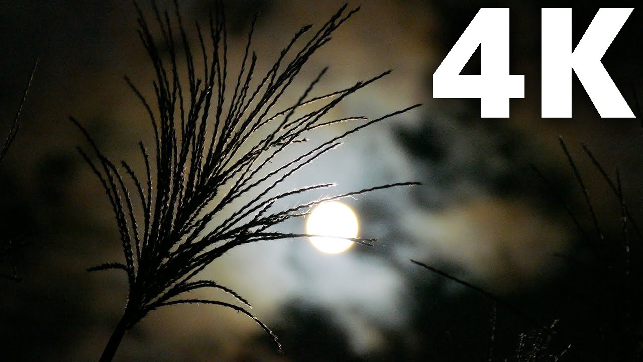 4K Supermoon Moonlight Japan - Beautiful Moon Landscape - Beautiful Nature Scenery Ultra HD