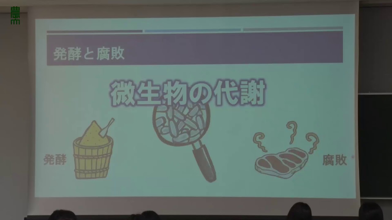 選び抜かれたエリート微生物：酵母と麹菌（応用生物科学部 醸造科学科)