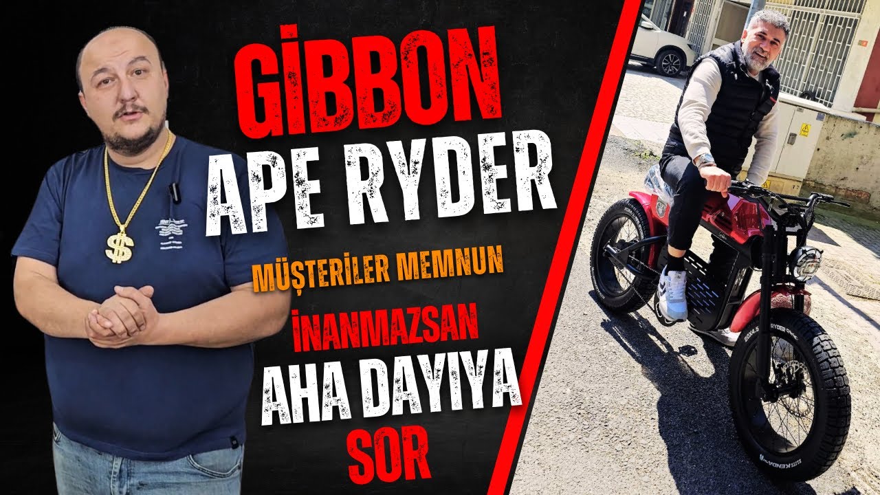 Müşteriler Memnun Ape Ryder Gibbon / Kutu Açılışı İnceleme Tanıtım #aperydergibbon