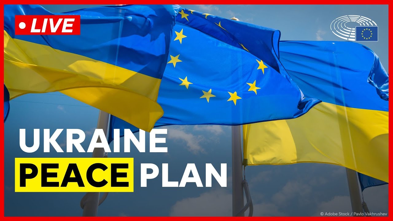 EU's position on the proposed peace plan for Ukraine