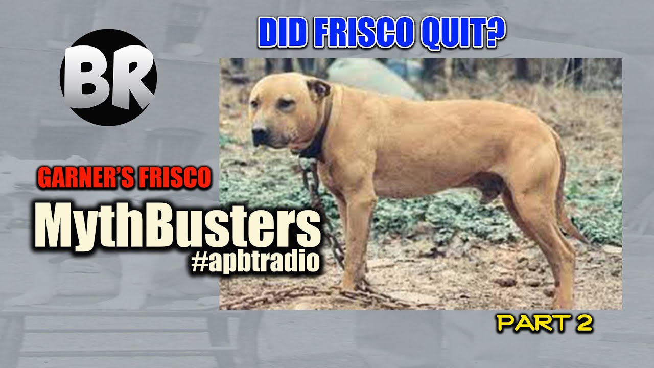 APBT MYTHBUSTERS | DID GARNER'S FRISCO QUIT? Story of Garner's Frisco ROM told by V. Romeo