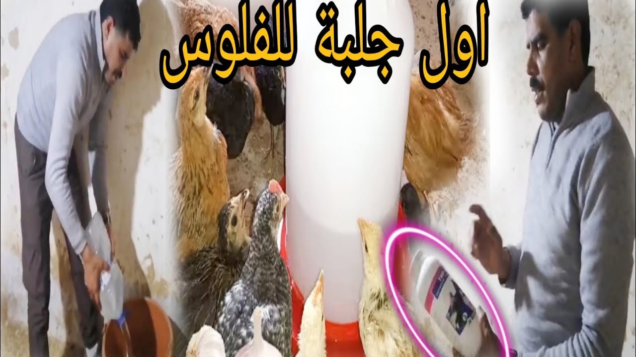 سلام وعليكم الاخوان الأول جلبية نيوكاسل لفلوس طريق الاستعمال مرحبا الاخوان الهاتف 0700750056 