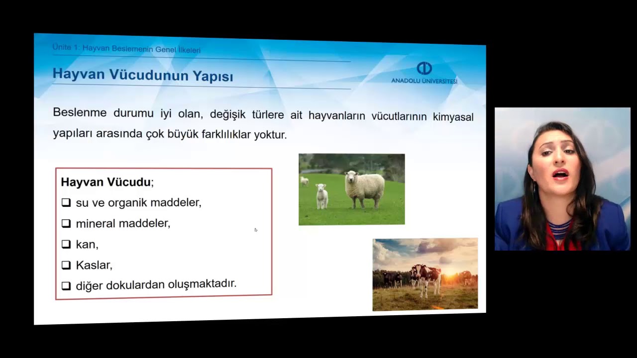 HAYVAN BESLEME - &Uuml;nite1 &Ouml;zet1