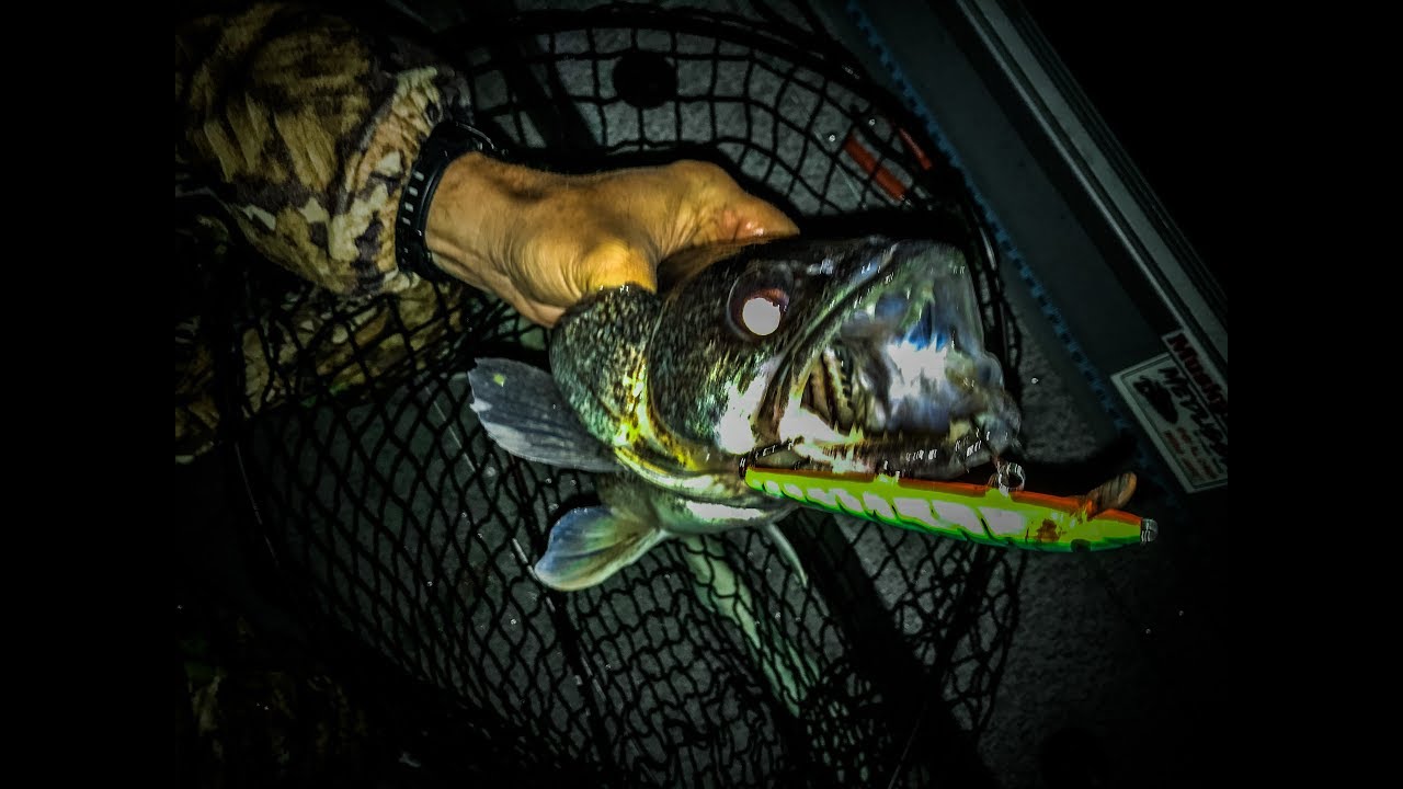 How To Troll For Walleye on Chautauqua Lake