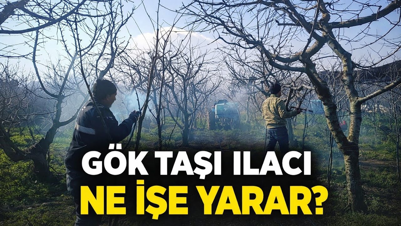 Gök taşı ilacı ne işe yarar 