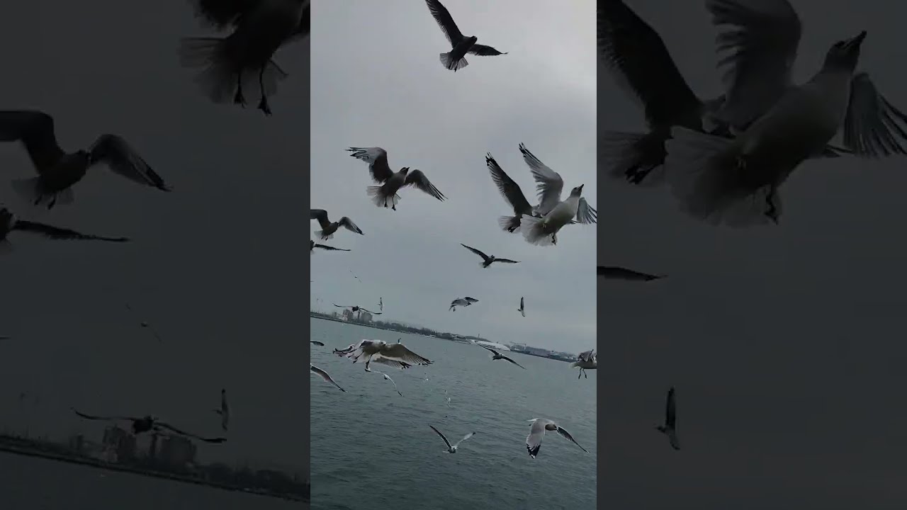 Downtown Toronto Bike Ride to Sugar Beach | Waterfront & Lake Ontario
