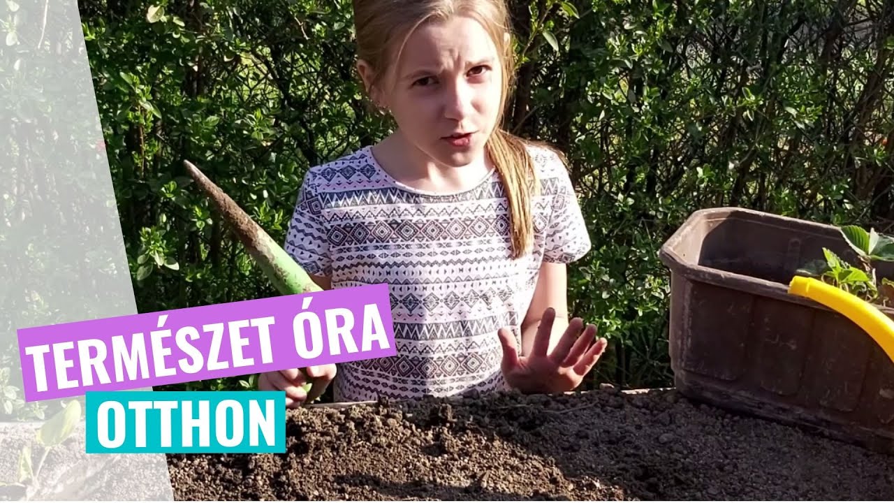Természet óra otthon
