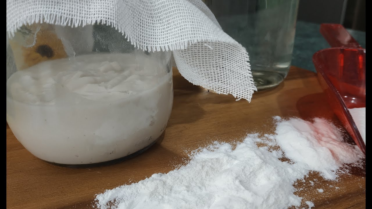 TERZA FASE DEL LIEVITO MADRE GLUTEN FREE ( SENZA GLUTINE ) PER INTOLLERANTI AL GLUTINE E CELIACI