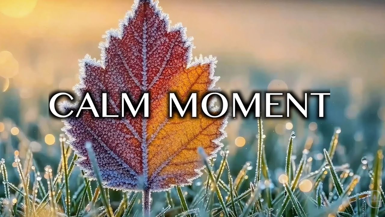 Rest Your Soul: A CALM MOMENT of Soaking Worship for Peace