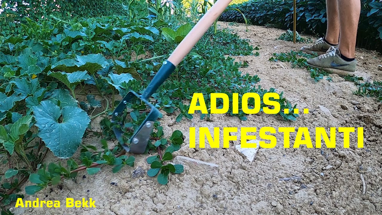 Eliminare le ERBE INFESTATI in un solo tocco |ATTREZZO CHE DEVI ASSOLUTAMENTE AVERE!!