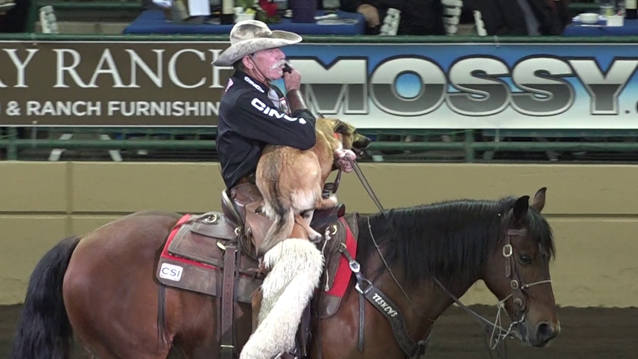 Poncho & Bobby Kerr - Night of the Horse 2018 - Del Mar National Horse Show