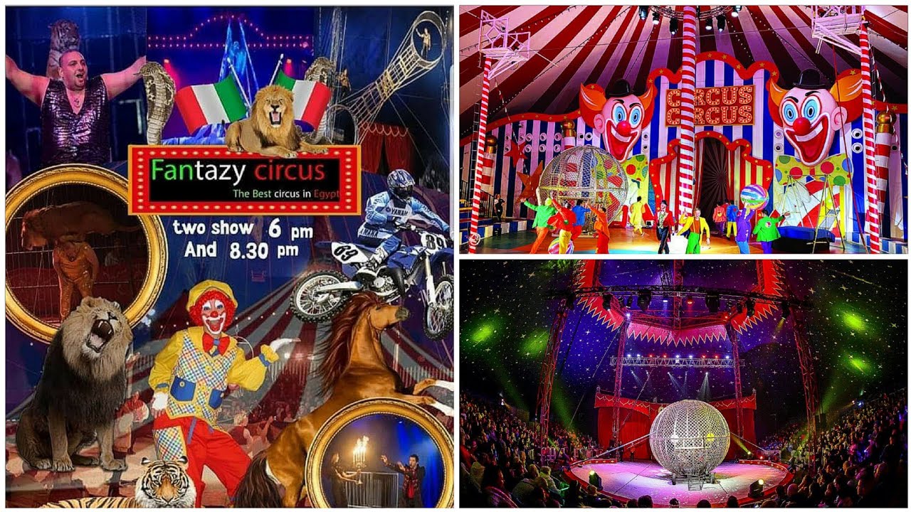 السيرك الايطالي في سيدي جابر الاسكندرية Italian circus