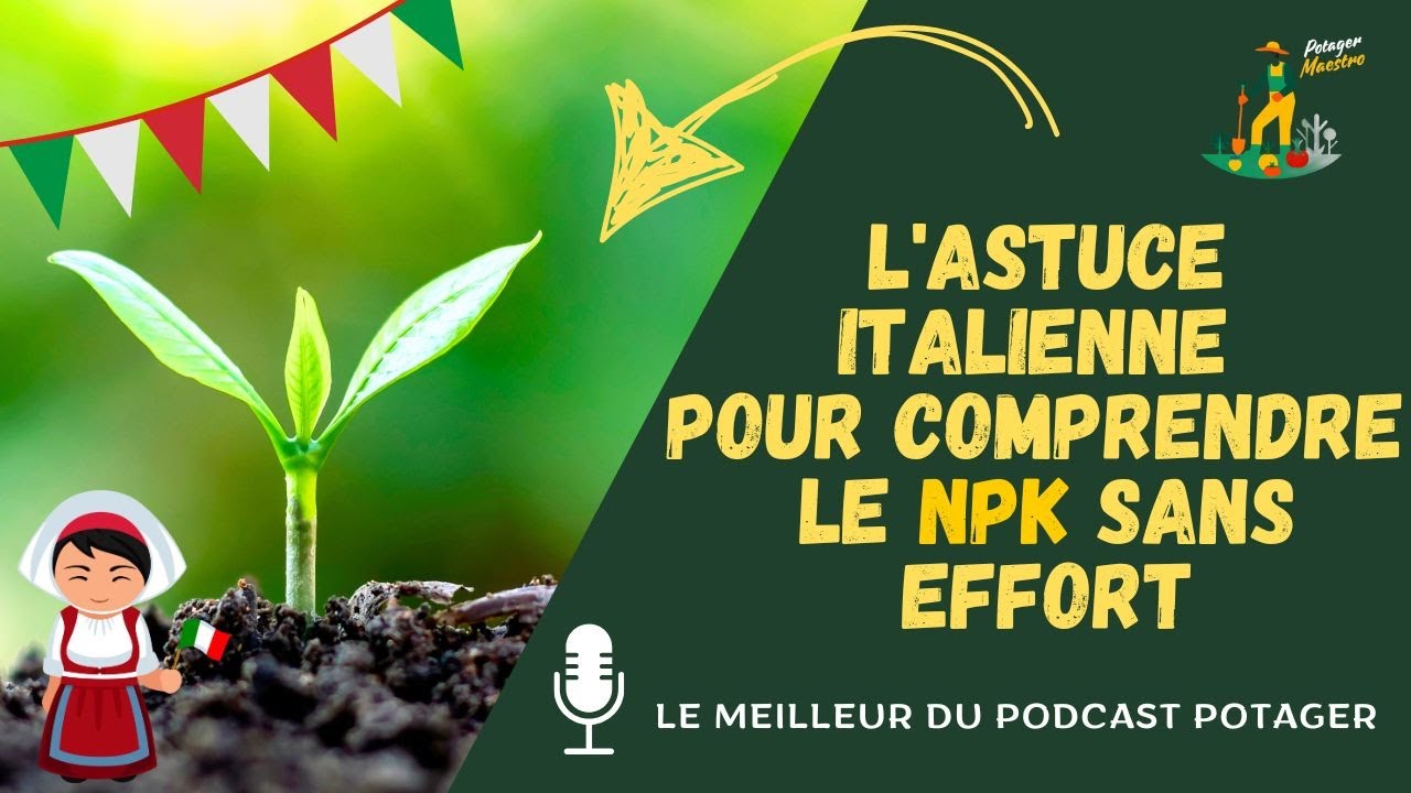 Le NPK décodé : le moyen infaillible pour choisir le bon engrais en jardinerie