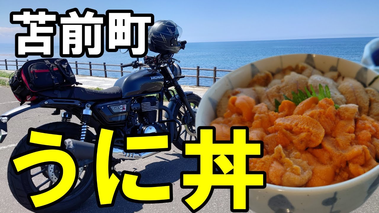 【苫前町】絶品うに丼を求めオロロンラインへ【GB350S】