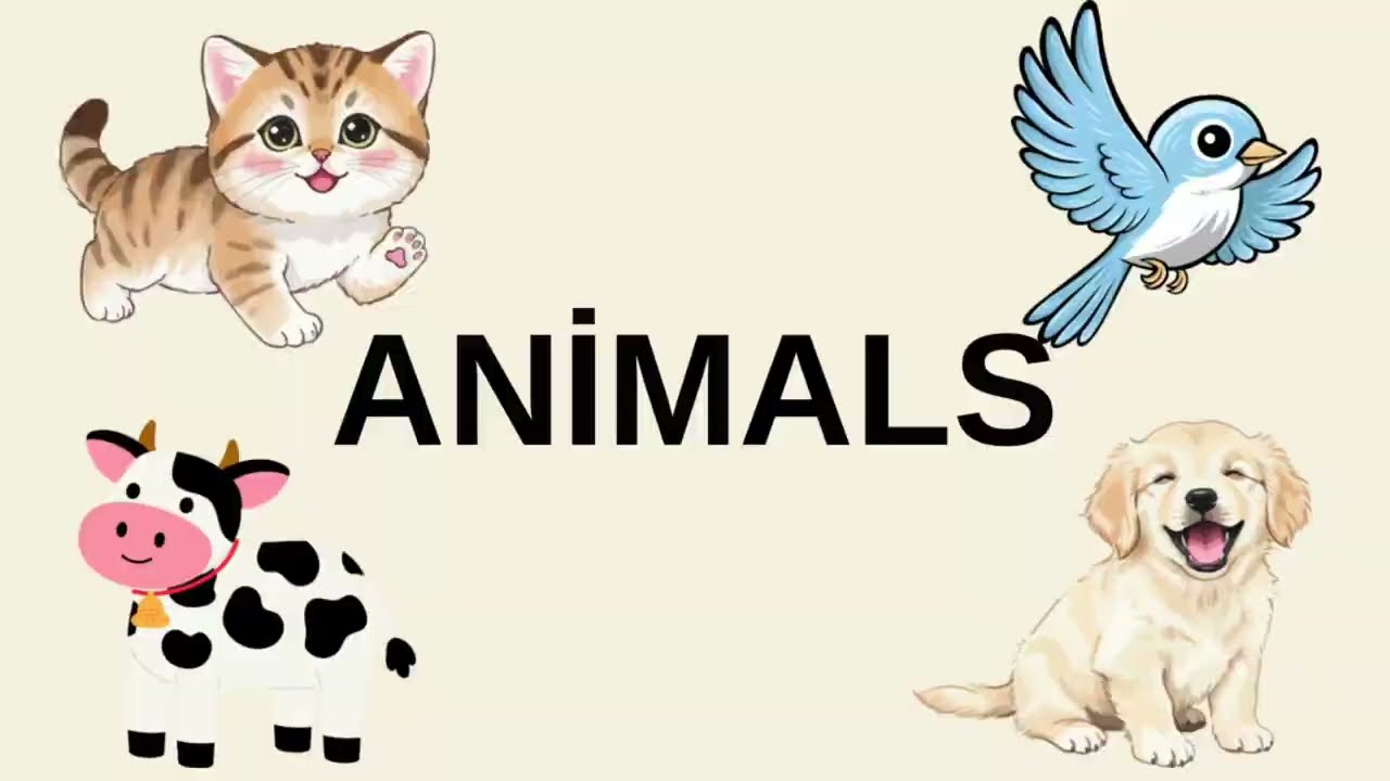 Learn Animals for Kids | Cat Dog Bird Cow | Kippy Kids