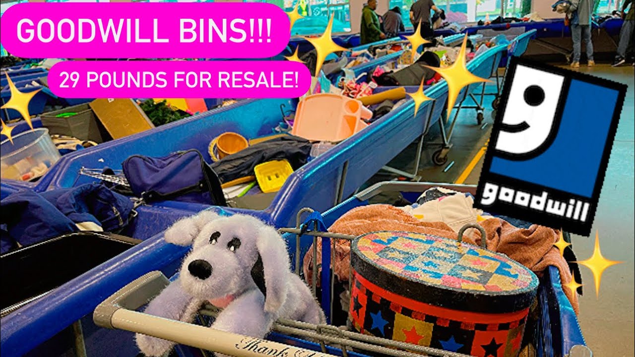 Let’s GO To Goodwill Bins!! 2ND Time In One DAY! 29 Pounds For $1.59/Pound! Thrift With Me!