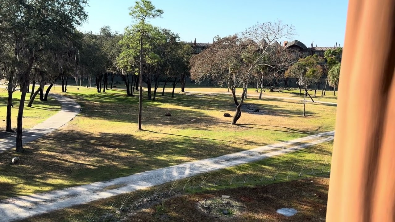 Savanna view at Disney’s Kidani village 