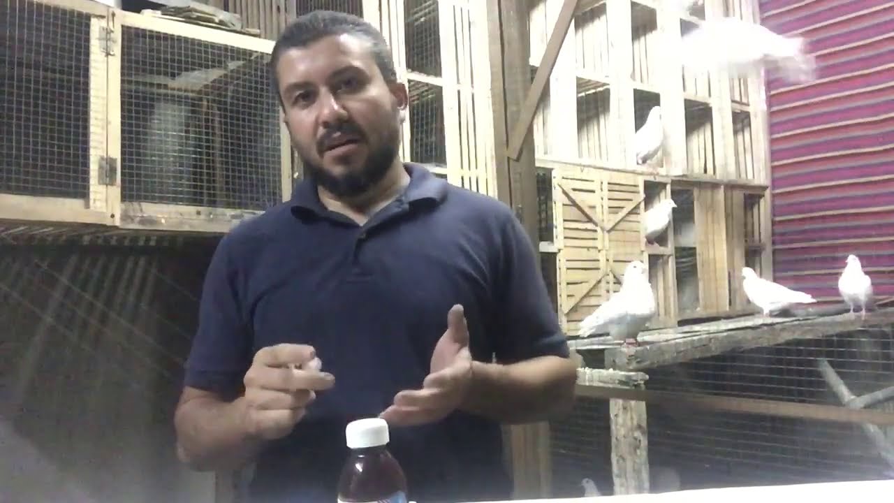 علاج مرض امتلاء الحويصله بالماء او مرض الجمل او الكنكر