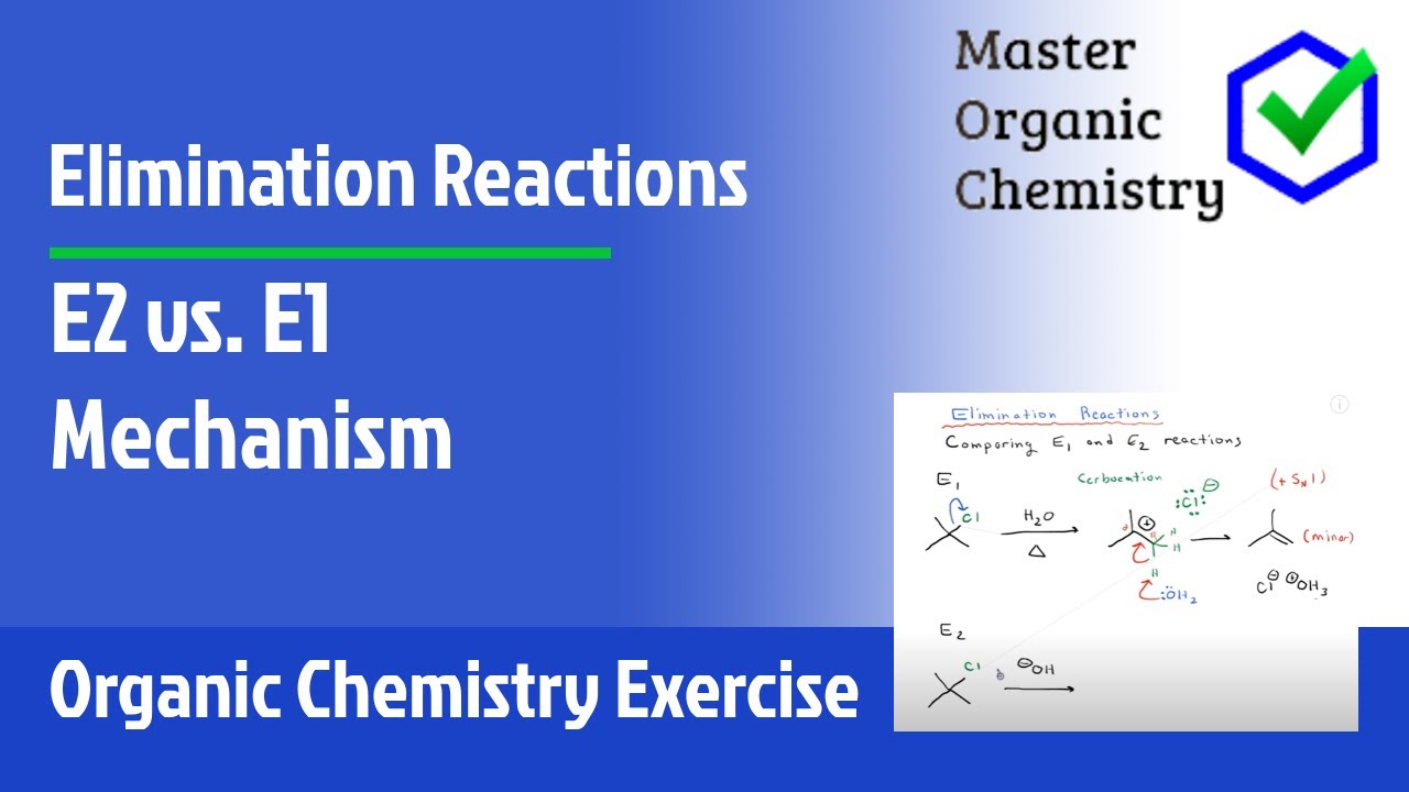 E2 vs. E1 - Mechanism