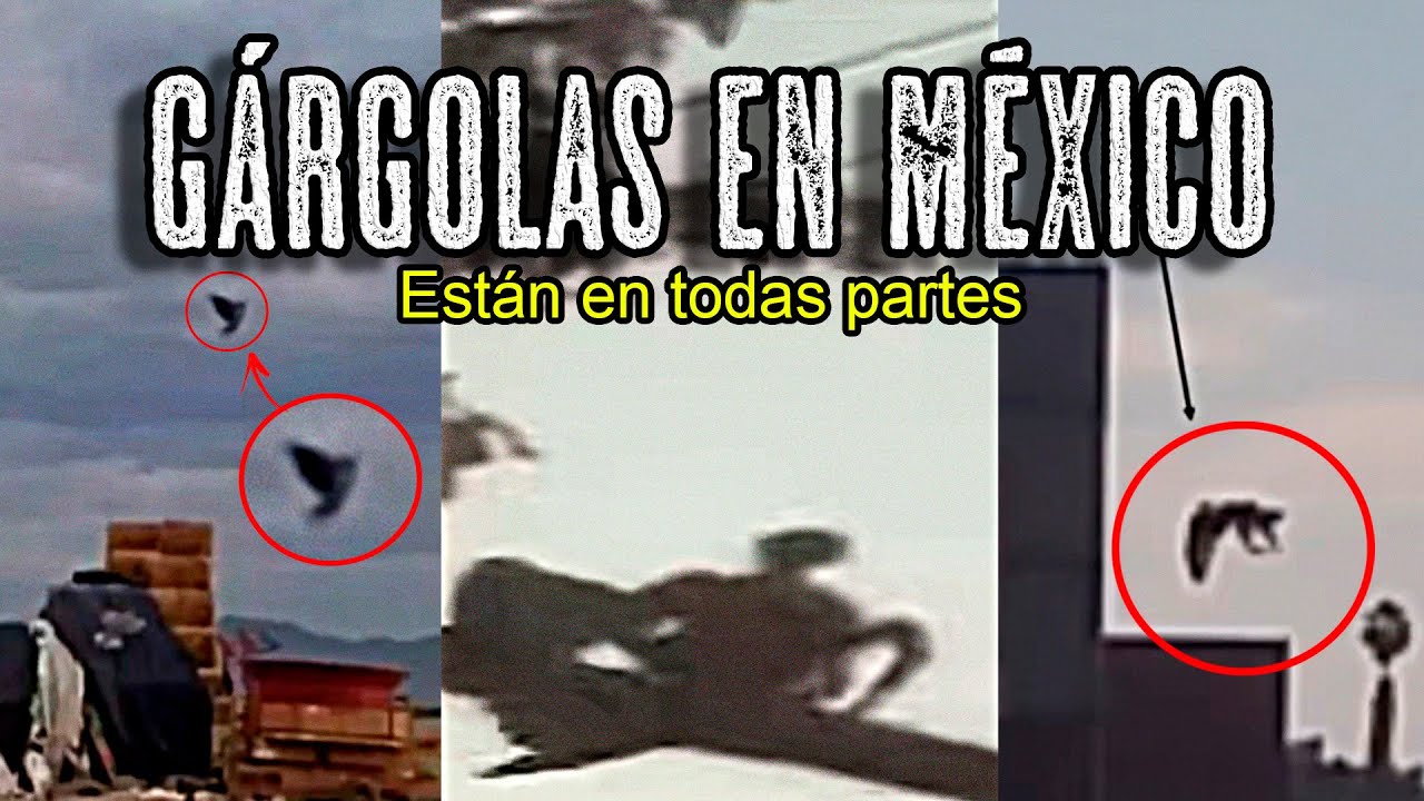 ALERTA por Avistamientos de G&Aacute;RGOLAS en TODO M&Eacute;XICO ATERR&Oacute; al MUNDO