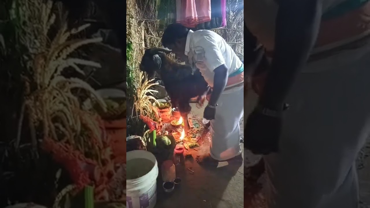 Nunala yarrayya golla saduvu