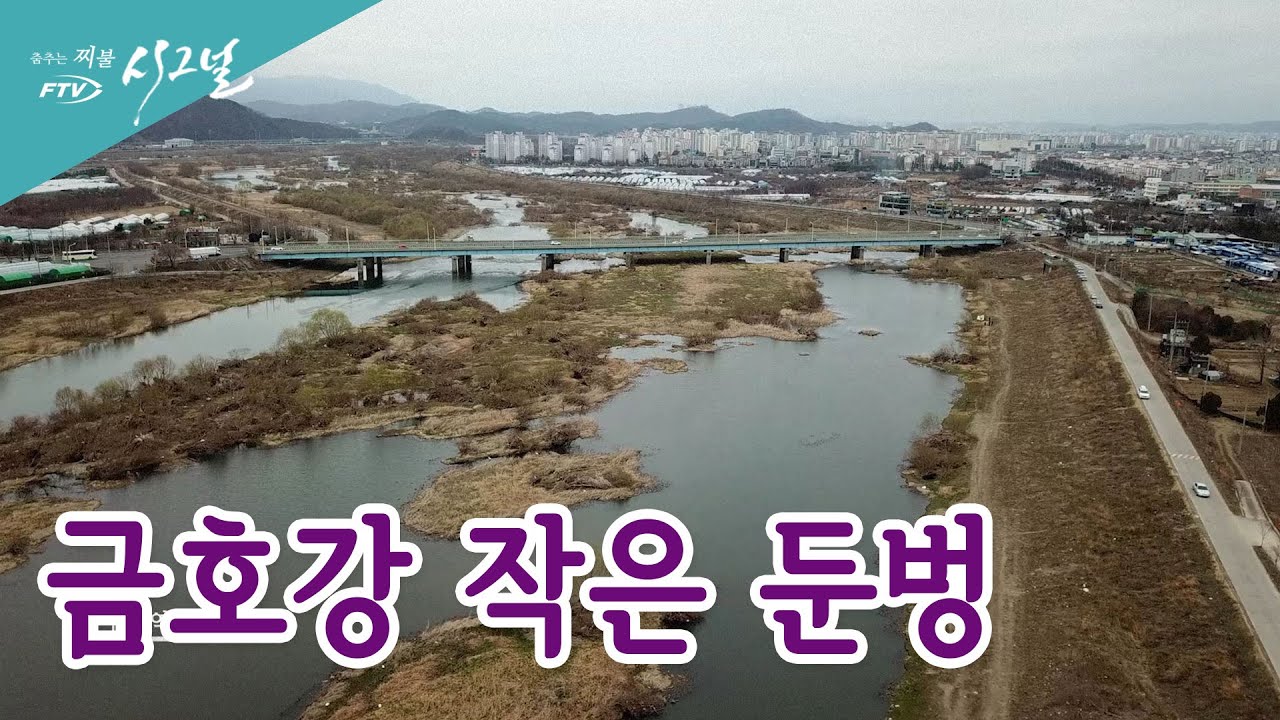 [다시 보기] FTV 시그널 - 금호강 작은 둔벙