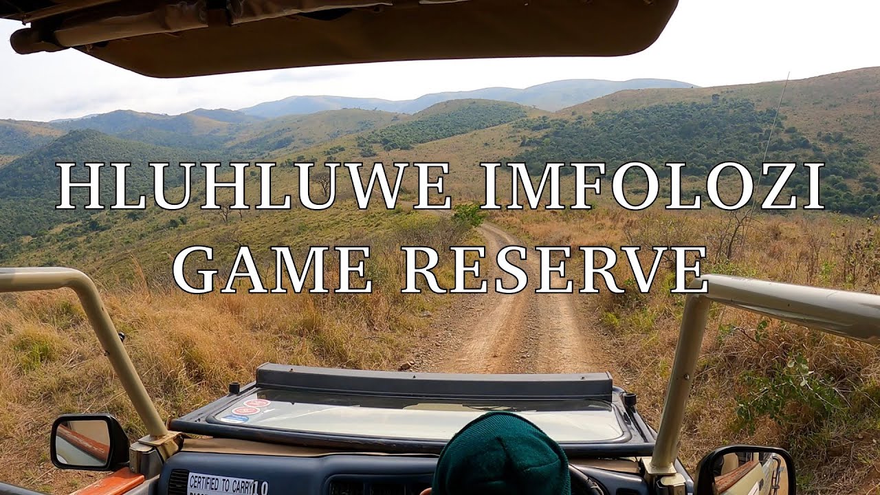 Hluhluwe Imfolozi Game - Jeep Safari at famous Rhino Park || Vorgewandert - Quick Virtual Travel