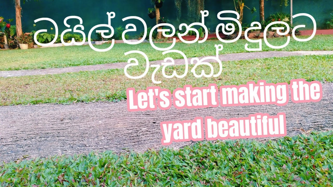වැඩ පටන් ගන්න අදහස් එයි ඔයා හොයාගෙන #beautygarden #fypシ゚viral 